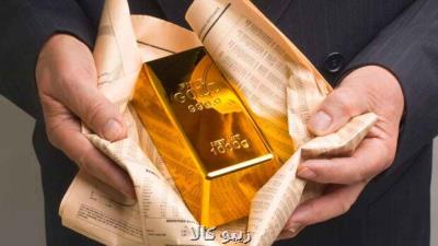 بدون تصویر