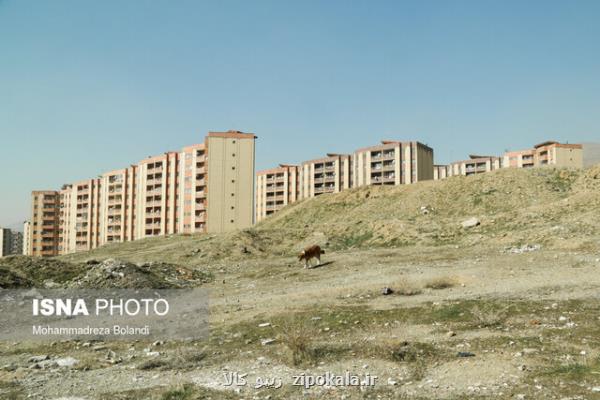 بدون تصویر