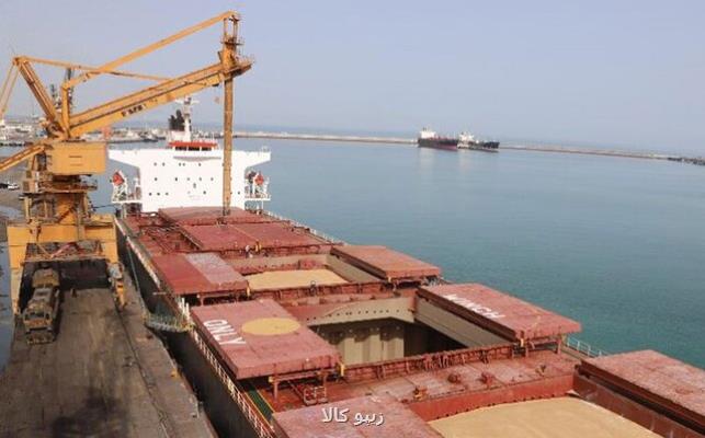 بدون تصویر