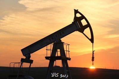 بدون تصویر