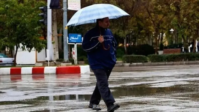 بدون تصویر